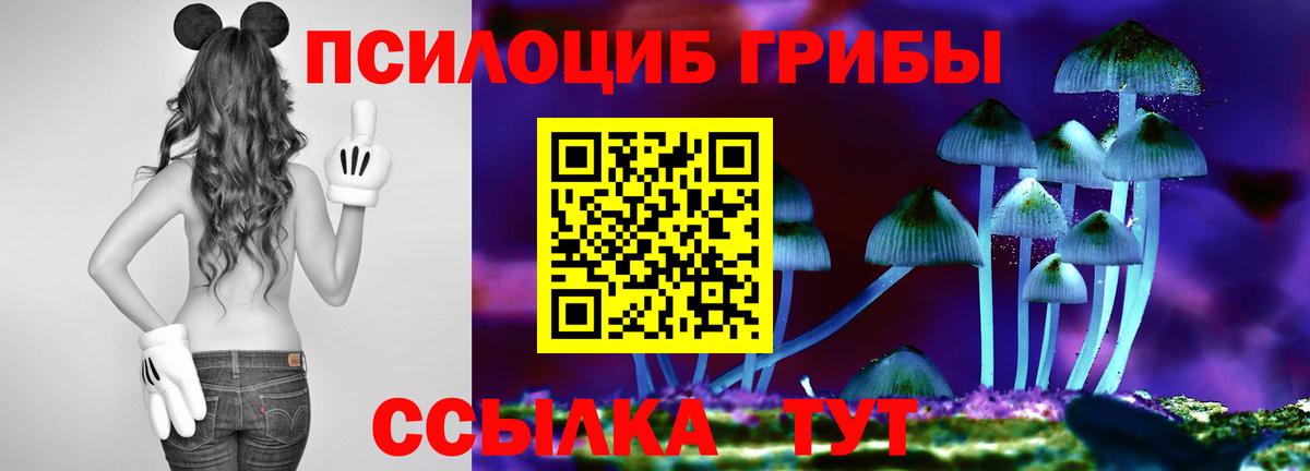 где купить   Галлюциногенные грибы Cubensis  Вход с VPN  Жигулёвск 